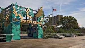 7.-NY-Aquarium2