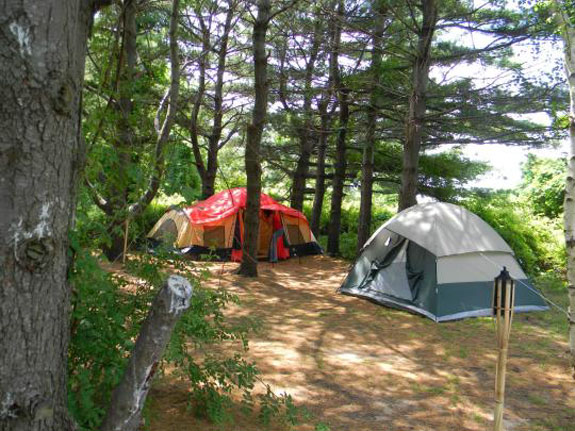 bennett-field-nyc-camping