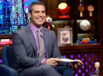 Andy Cohen Reveals He's Looking For Brooklyn Love On Tinder