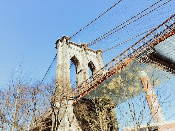 The Bus Tour That Gives You More Than 'A Slice Of Brooklyn'