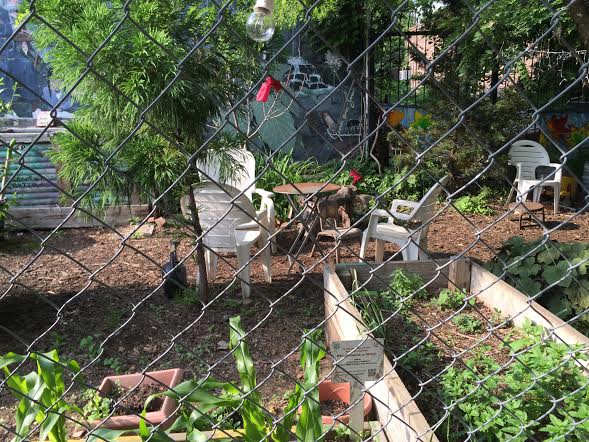Help Save "Roger That Garden Project" In Crown Heights