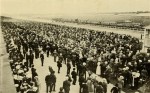 The Untold Story Of Brooklyn's Historic Racetracks