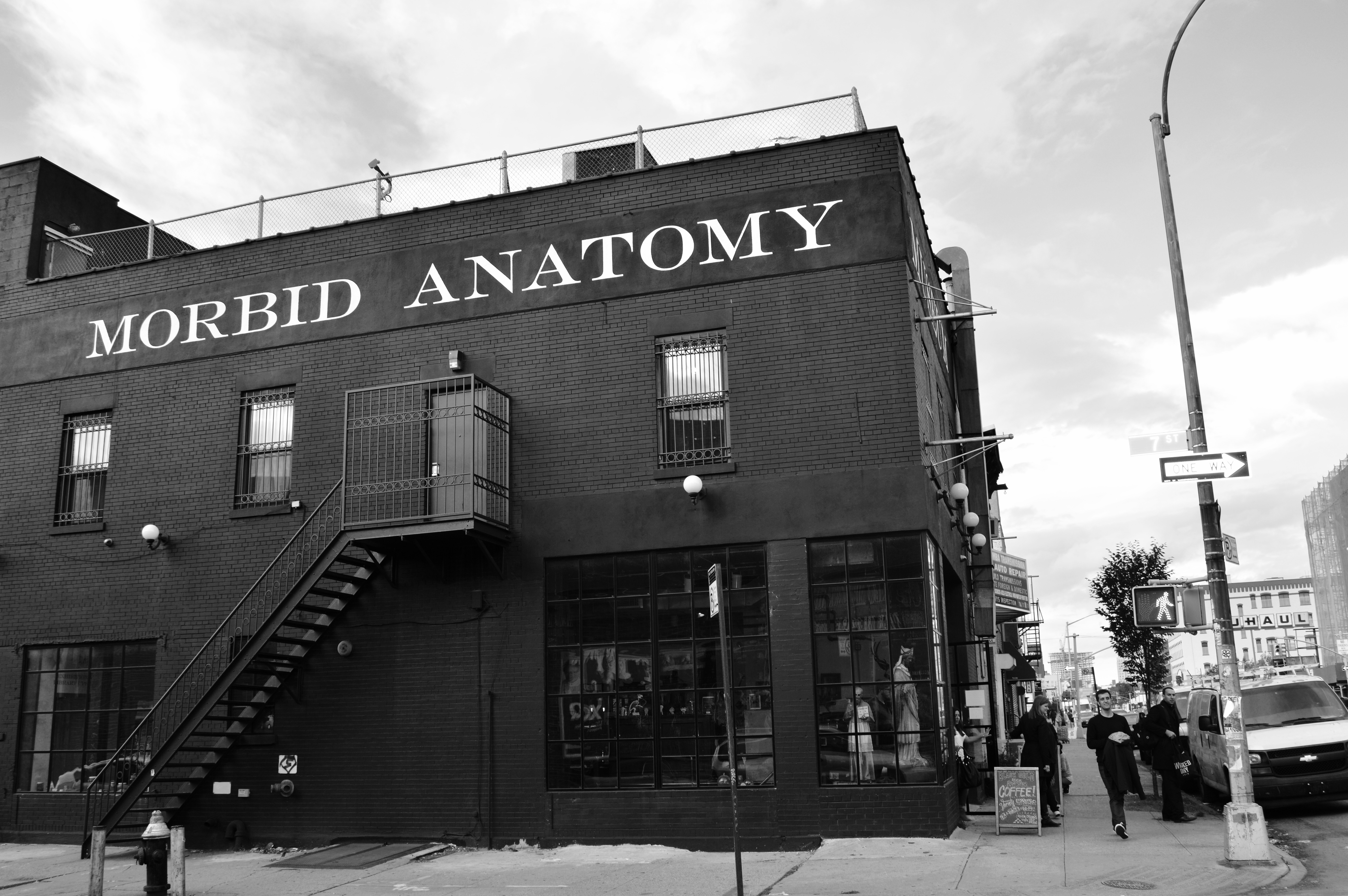Morbid Anatomy Museum Closes After Just Two Years