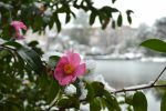 The Brooklyn Botanic Garden Winter Weekends Are Here!