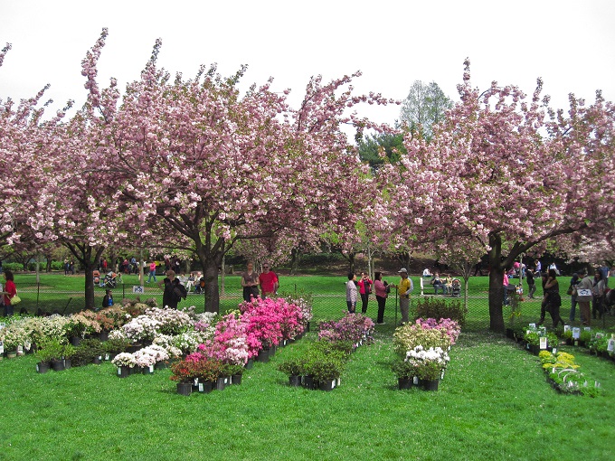 Brooklyn Botanic Garden’s Annual Plant Sale Returns Next Month