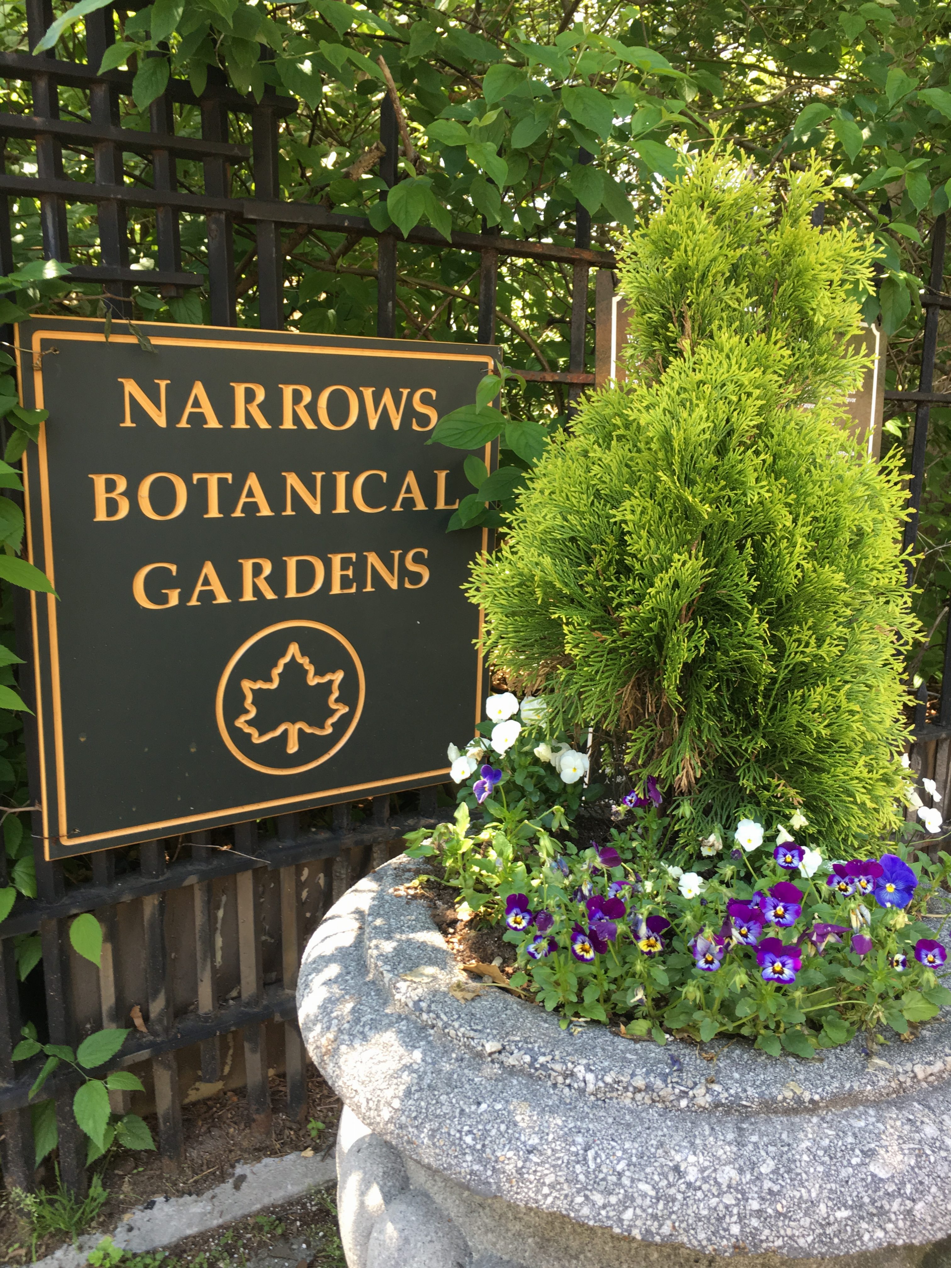 Hidden Gem Alert: Narrows Botanical Gardens